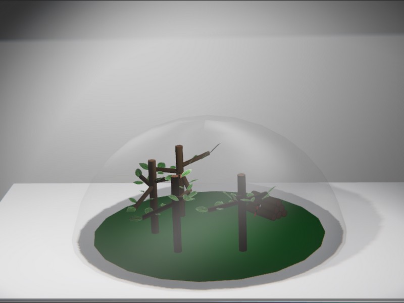 Foggy Forest